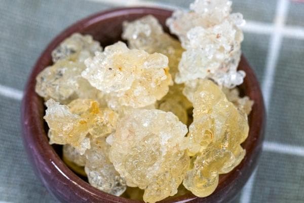 雪燕不是燕窝，这些功效与食用禁忌需谨记