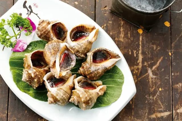 解锁海螺煮制技巧，从大小到口感，带你领略美食文化的独特魅力
