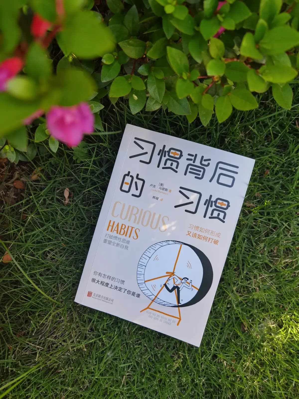 《习惯背后的习惯》：揭密习惯背后的心理与改变之道，成为更好的自己