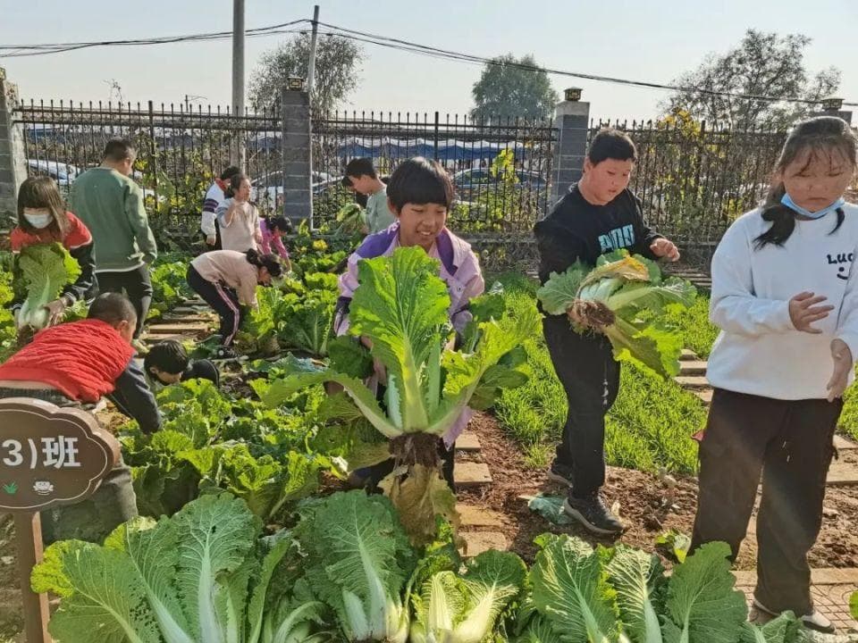 北京发布中小学劳动教育清单！一校一策打造特色劳动课程