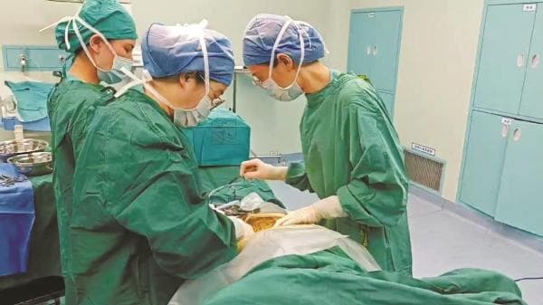 一胎剖宫产二胎能顺产吗？ 医生：是否适合需要有这些适应症