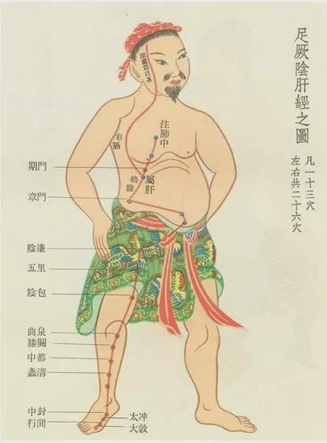 道家养生，十二时辰养生法，最简单的长寿秘诀！