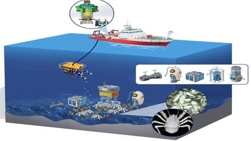 中国科学院海洋研究所在建立深海环境影响评估标准化实验流程体系方面取得系列进展