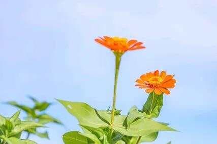 结束一段关系最好的方式：不翻脸、不追问、不纠缠