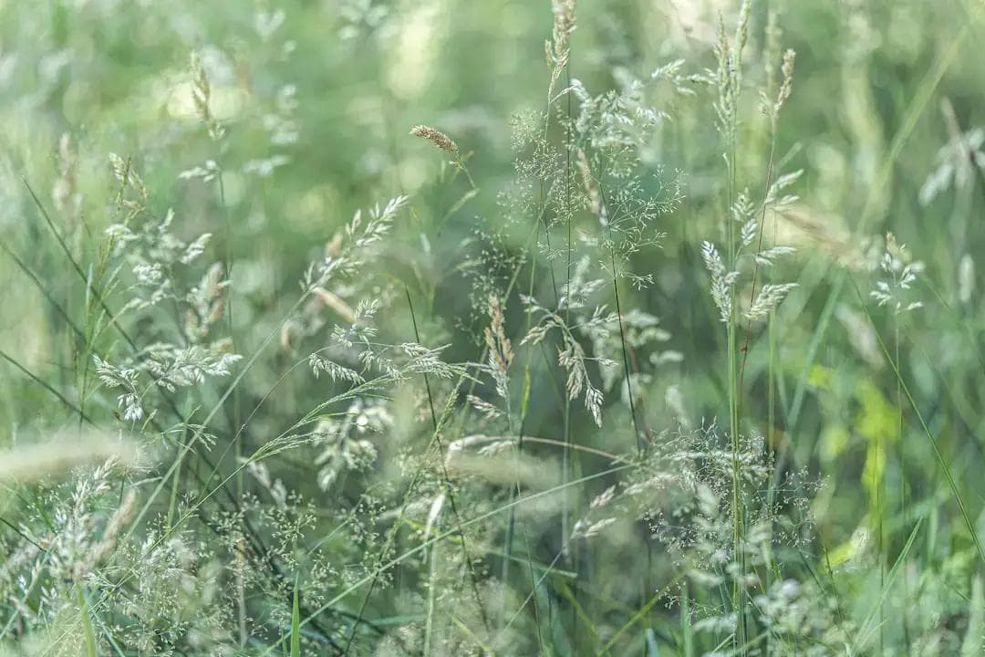 怎么看翡翠好坏？一看种水，二看颜色