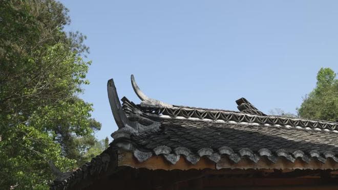 做大事的人，不懂点权谋手段怎么行？《左传》告诉你：权谋的典范