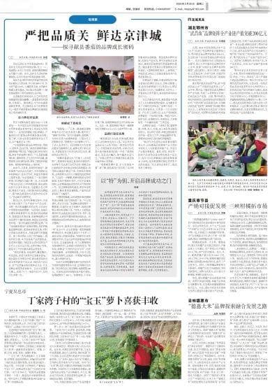 严把品质关 鲜达京津城——探寻献县番茄的品牌成长密码