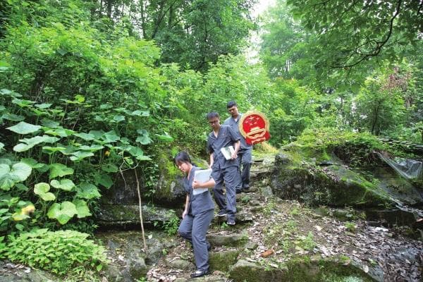 逾越高山看风景——石门县壶瓶山法庭坚持党建引领践行新时代“枫桥经验”