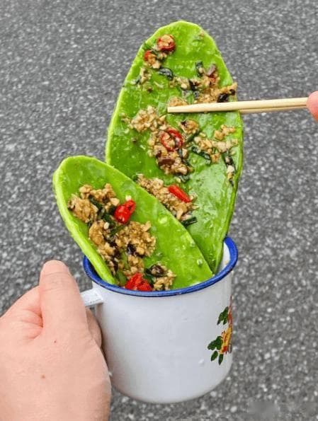 仙人掌的四种美味吃法，简单又下饭，你都吃过没？