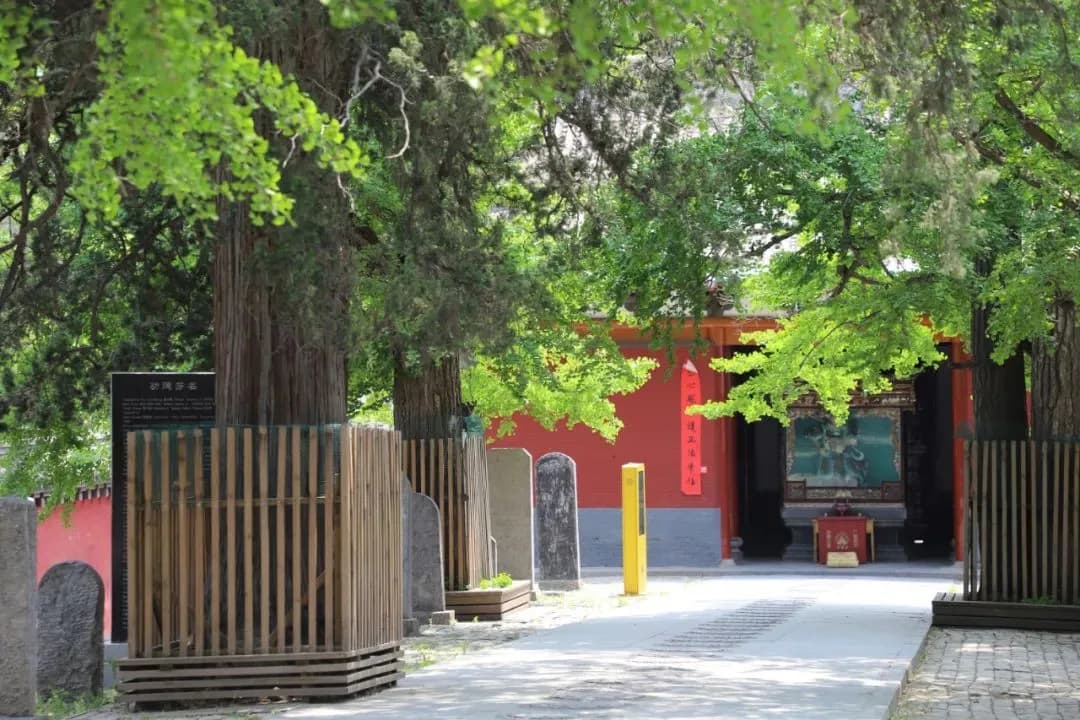 刷新认识，原来这些看似“素”的食材也算“荤”