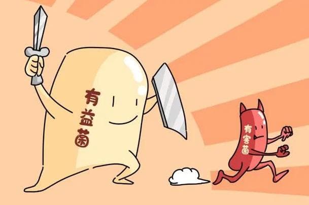 有益菌和有害菌有什么区别？哪些属于有害菌？哪些菌对于人体有益？