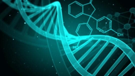 一文读懂丨HER-2阳性乳腺癌该如何治疗？