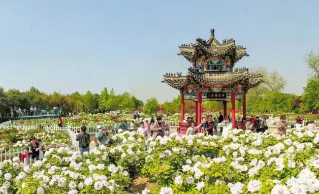 菏泽休闲度假4条旅游线路推荐