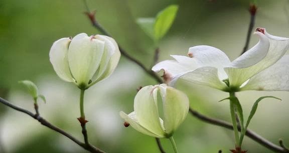心理学：喜欢在背后“说你坏话”的人，十有八九是这些想法