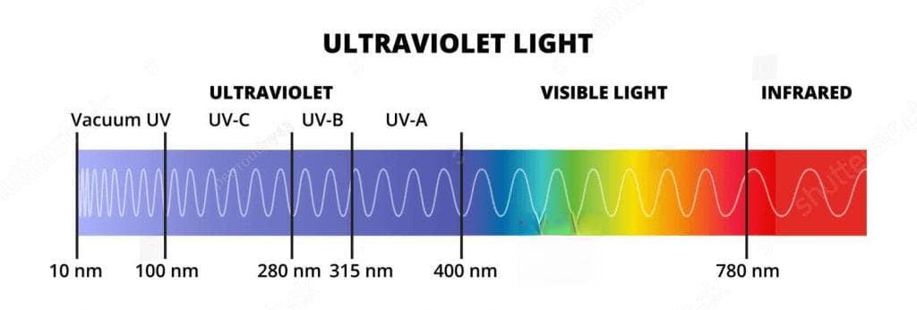 UVA、UVB、UVC有什麼差別? 對人體的影響有哪些呢?