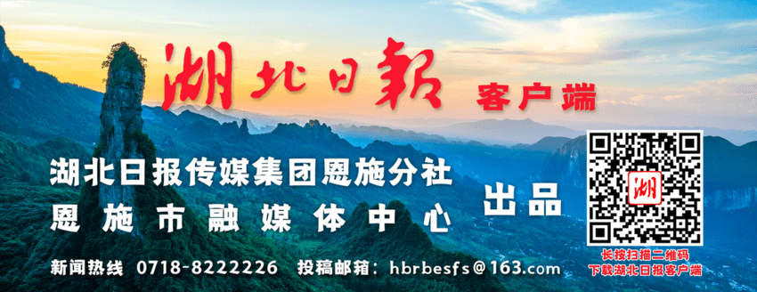“恩施土豆”品牌建设跑出“加速度”
