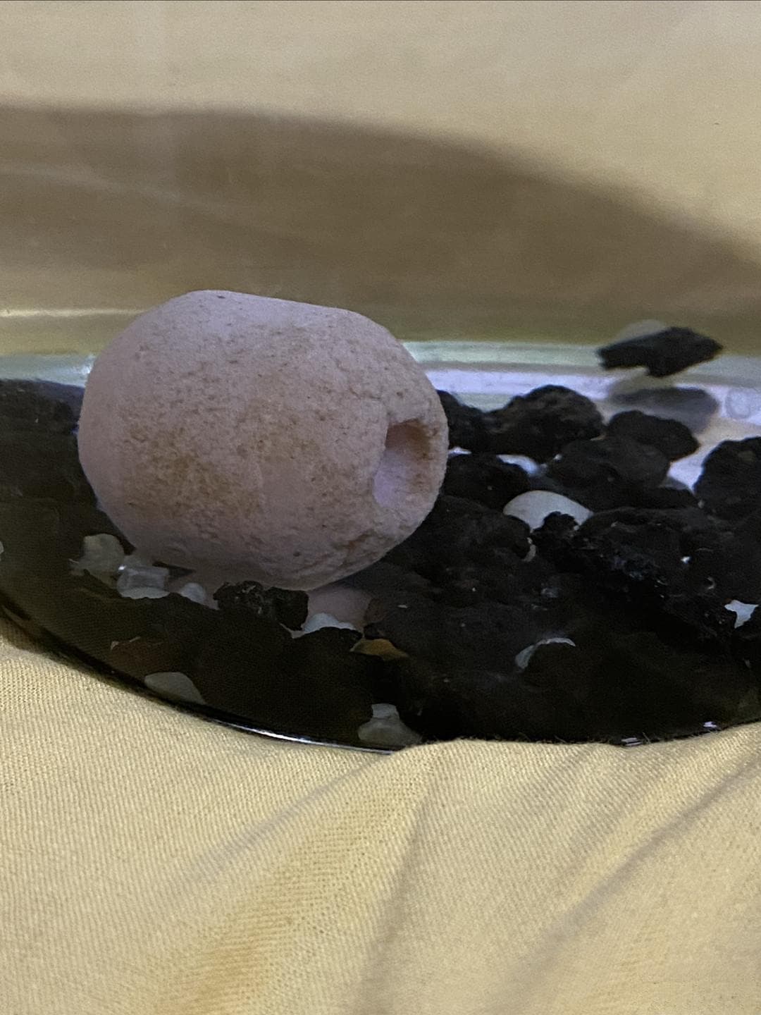 鱼缸里放火山石，到底好不好