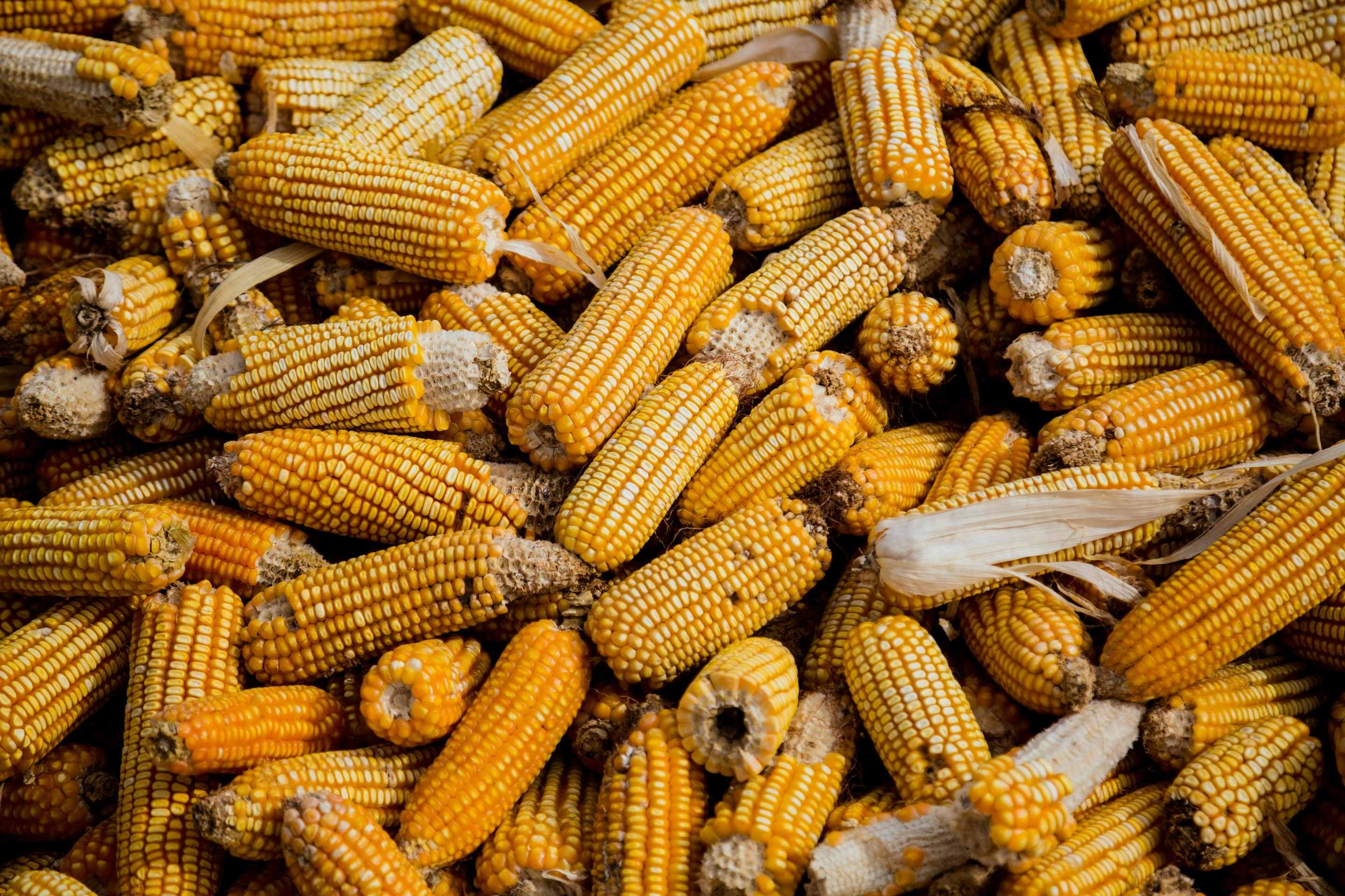详解不同钢种特性及在材料选择中的应用