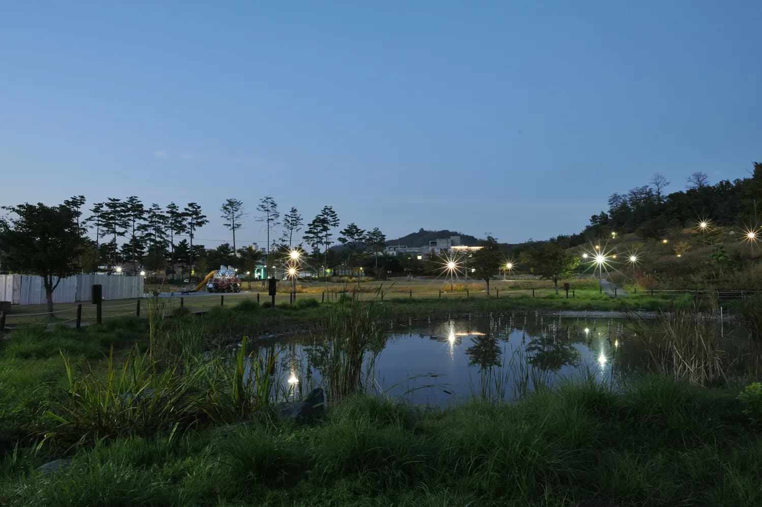 明仕田园夜游，打卡广西最美光影秀！
