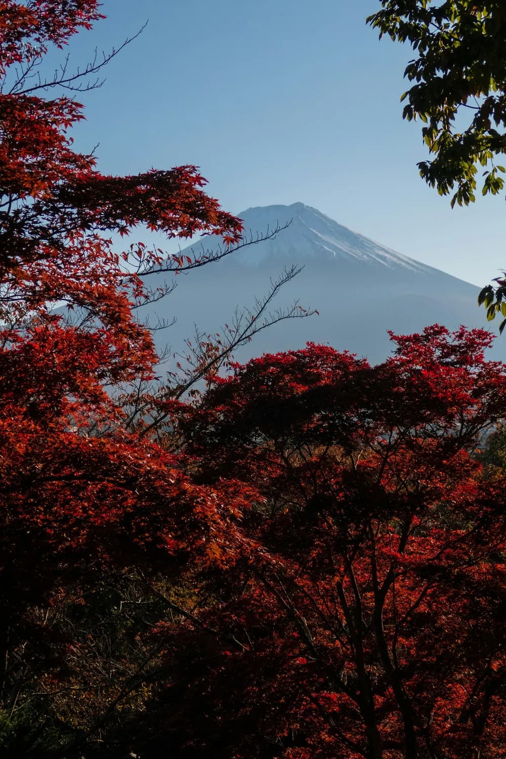 秋冬打卡峨眉山：千年佛文化之旅