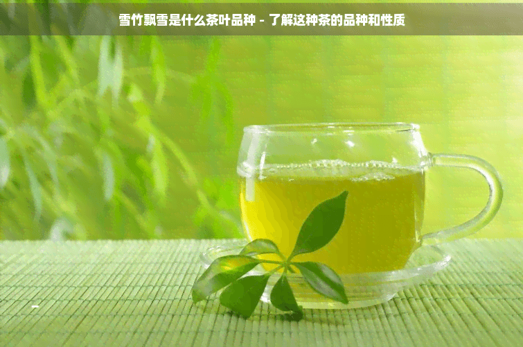 雪竹飘雪：云南特色绿茶的品种与品鉴