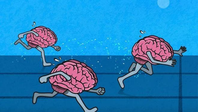 跑步能让人变聪明？答案来了