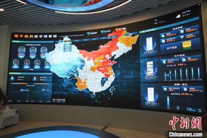 （聚焦中国高质量发展）中国杂交水稻为世界献“粮”策