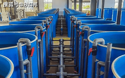 水桶养鱼自动化水循环加热系统方案