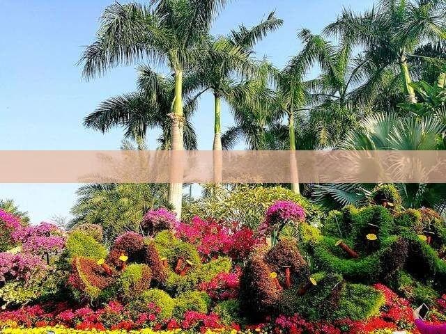 江门出发三天自驾游：攻略、目的地及预算一览