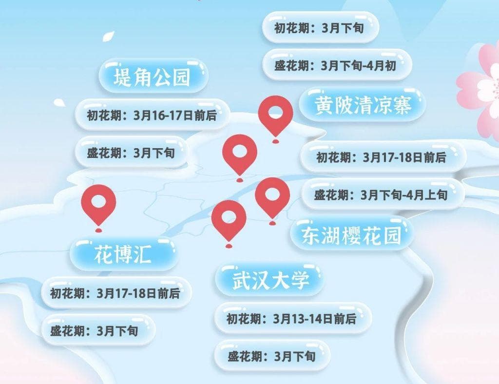武汉东湖樱花园花期多长时间？附2025花期预报