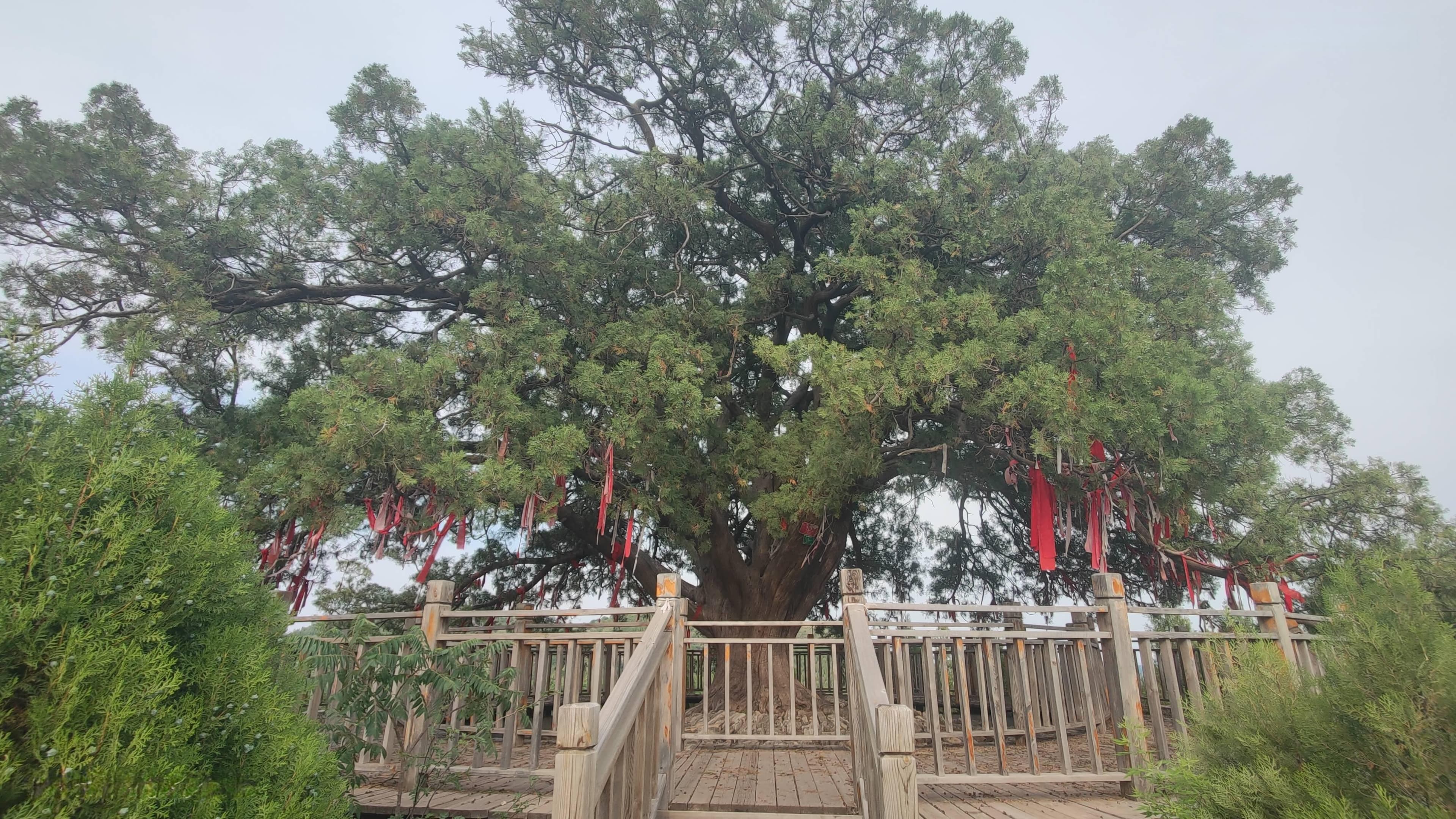 沂蒙百山：青龙山下古驿站（沂源县中庄镇）