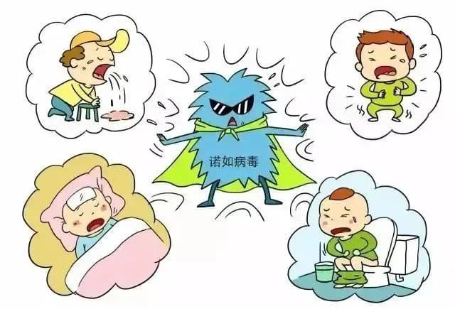 突然恶心、呕吐、腹泻？仍需警惕这种病毒感染！