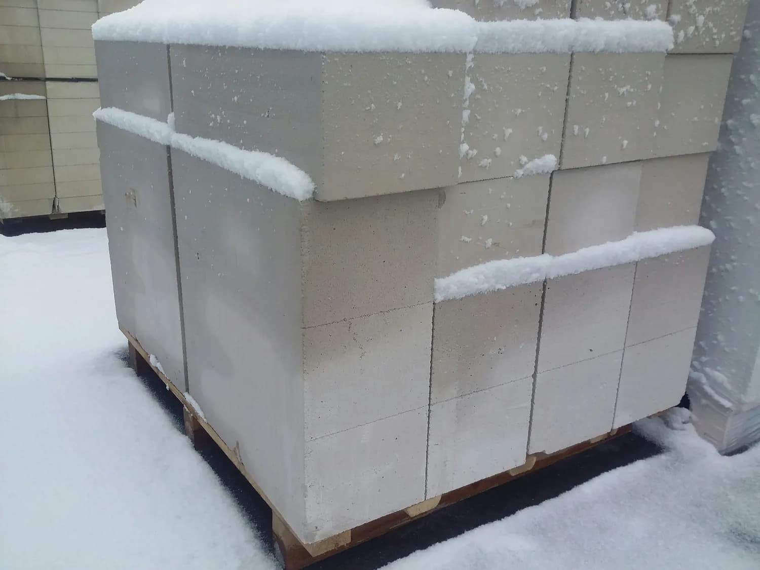 庆阳降雪，农民如何应对？这份实用指南请收好！