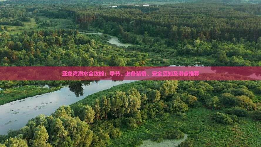 亚龙湾潜水全攻略：季节、必备装备、安全须知及潜点推荐