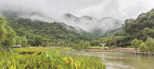 深圳建成17个绿美广东生态建设示范点