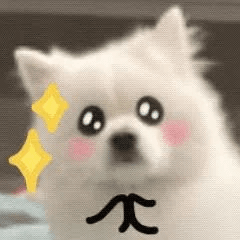 网络安全5大子方向！哪个才是最优选择？