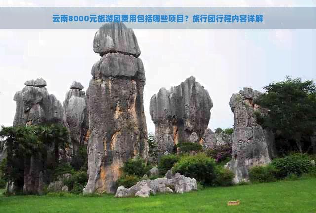 云南8000元旅游团费用包括哪些项目？旅行团行程内容详解
