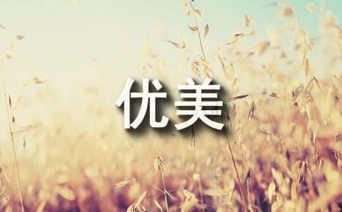 赞美油菜花的优美句子