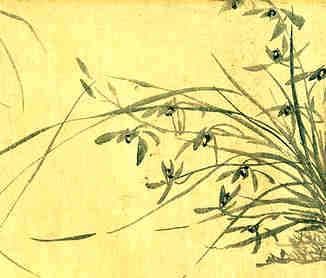 黄虎眼石佩戴指南：哪些生肖适合佩戴？