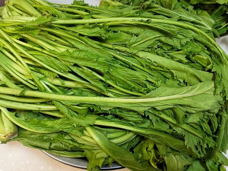干腌雪里蕻：一道经典的腌制菜品