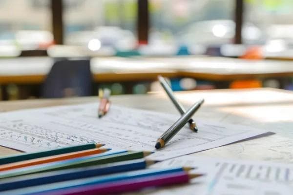 事业单位编制与公务员差异解析：有编制人员会否遭开除？