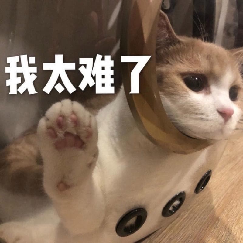 我太难了，表情包如何成为现代生活压力与共鸣的缩影
