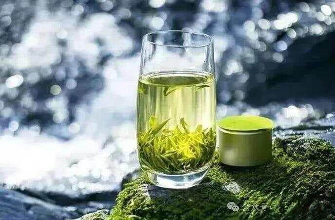 庐山云雾茶：品味千年茶韵，领略养生智慧