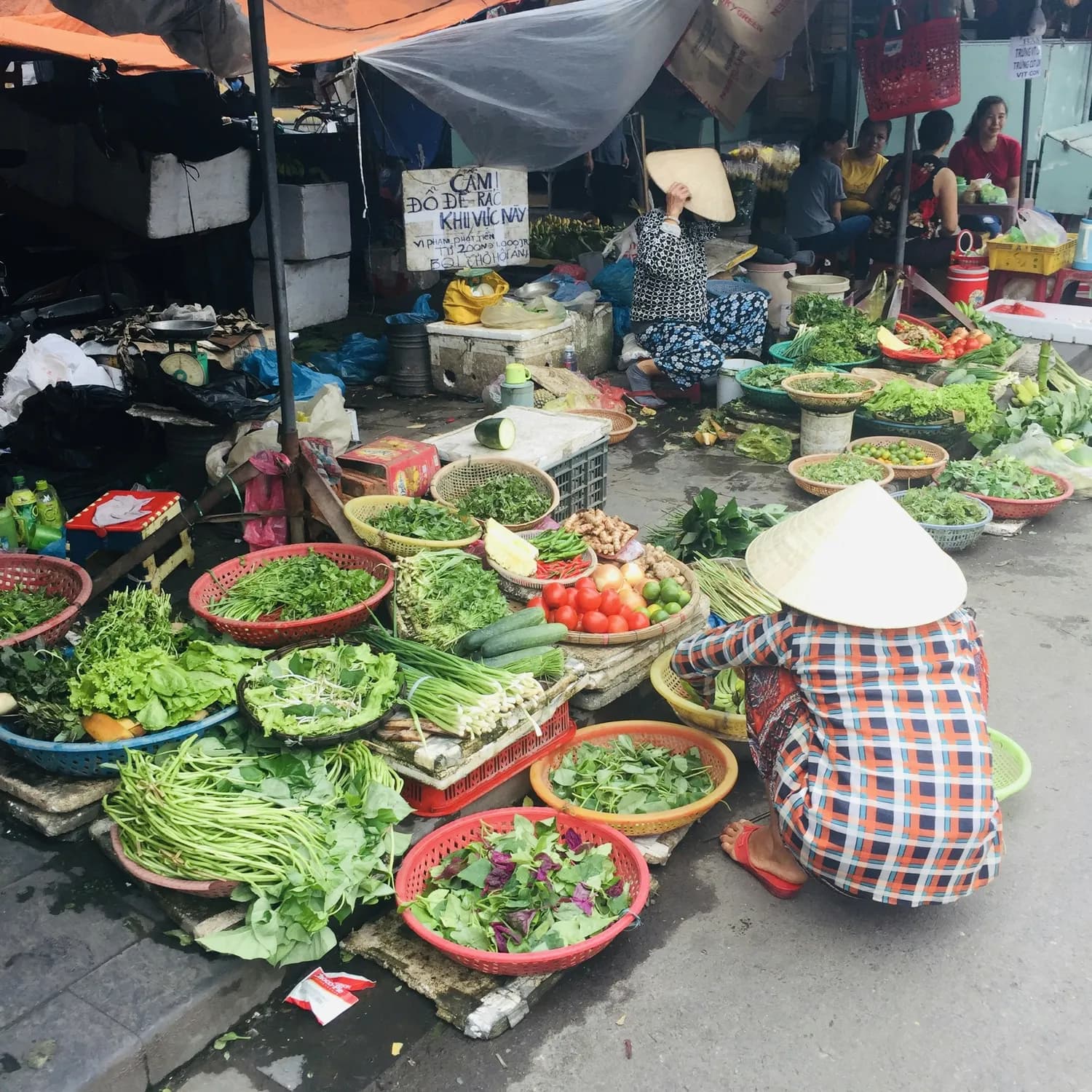 南北凉拌菜大比拼：红油麻辣VS麻油蒜香，谁是你的最爱？