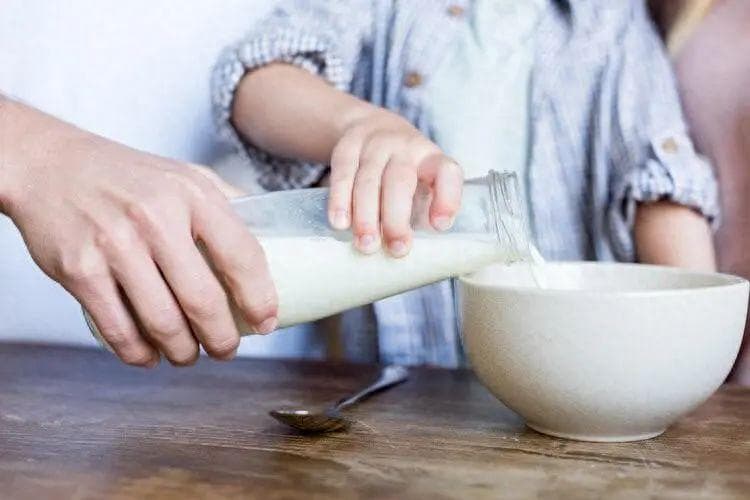 牛奶和豆浆，到底哪个更有营养？