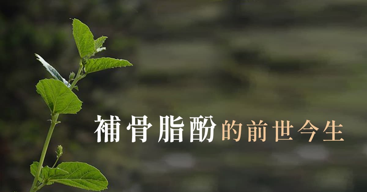 补骨脂酚是什么？掌握五大「补骨脂酚功效」，揭开进阶抗老保养品的奥秘