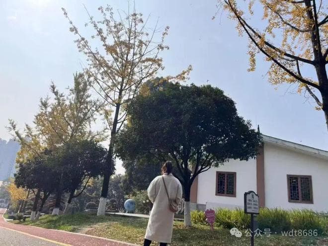 老话“清明遇双春，5人不上坟”，今年清明哪些人不上坟？听老人分析