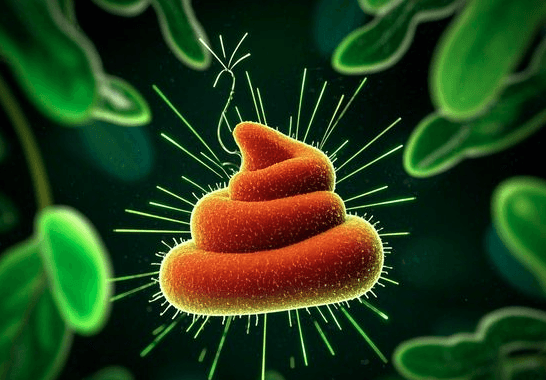 如何通过粪便检测来评估肠道微生物的整体健康状况？