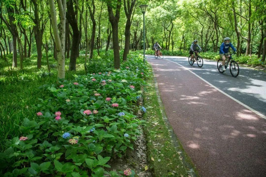 上海长宁这些地方，景美又清凉
