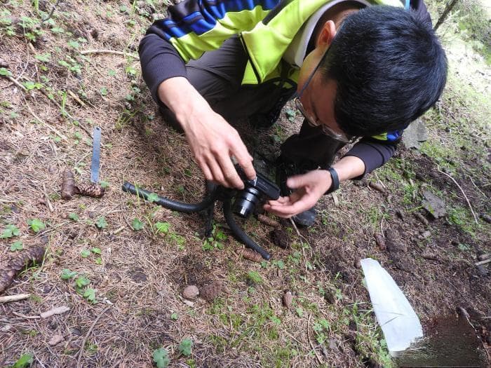 新疆野生蘑菇采集热兴起 专家建议注重安全与保护
